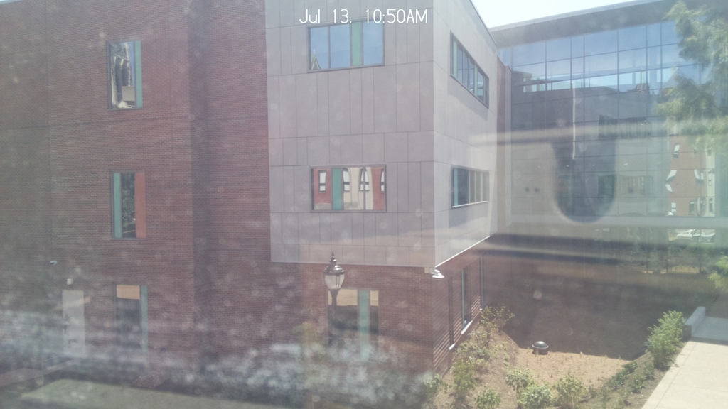 The view outside my office window.